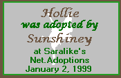 Hollie was adopted from Starlike