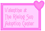 The Rising Sun Adoption Center