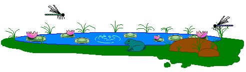 Pond